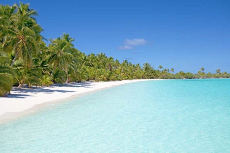 Saona Island From Punta Cana
