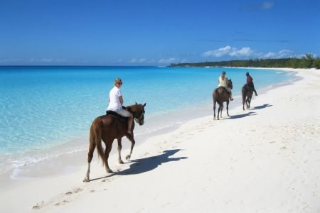 Beach Horseback Riding in Punta Cana
