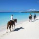 Beach Horseback Riding in Punta Cana