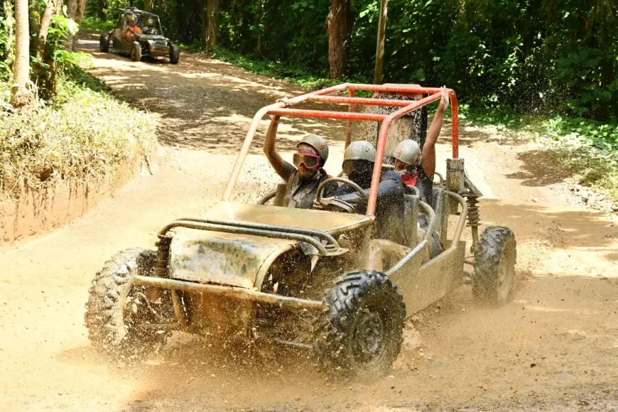 Dune Buggy Family (4 Seats)