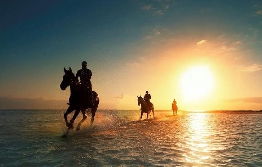 Sunset Horseback Riding Tour