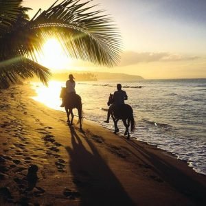 Sunset Horseback Riding Tour