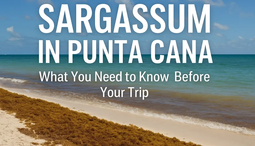 Sargassum in punta cana