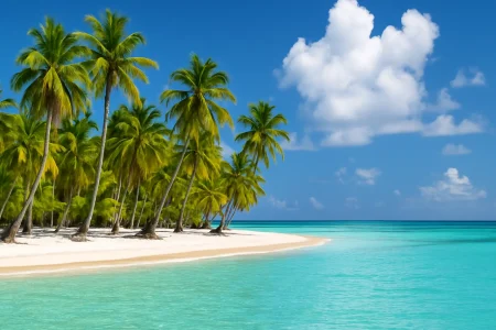 How to Get to Saona Island from Punta Cana: Best Ways, Tours & Travel Tips
