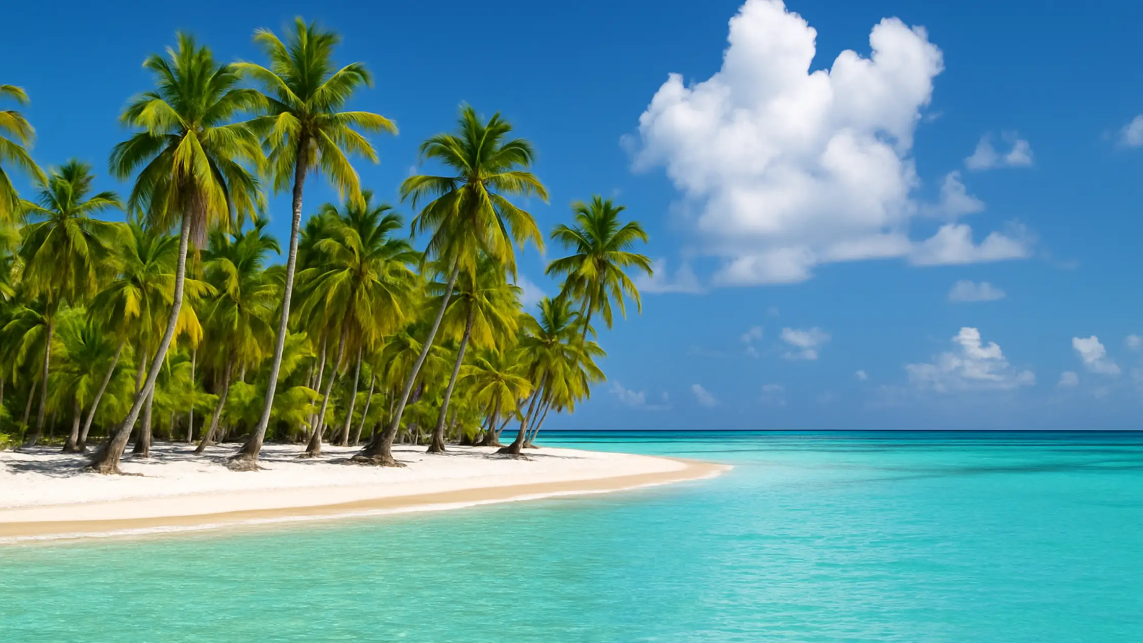How to get to Saona Island from Punta Cana – view of tropical beach with palm trees and turquoise sea