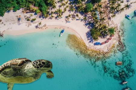 Saona Island Turtle Sanctuary