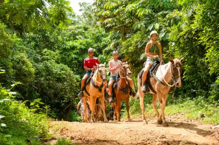 Horseback Ridding at la hacienda park