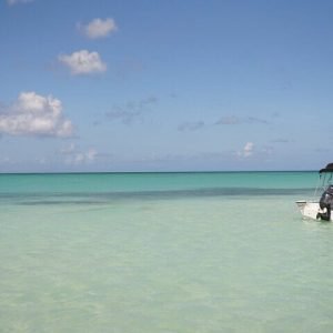 Private Saona Island Tour by Speed Boat (1–4 People)