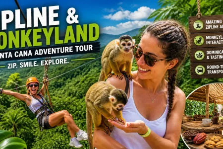 Zipline & Monkeyland Tour
