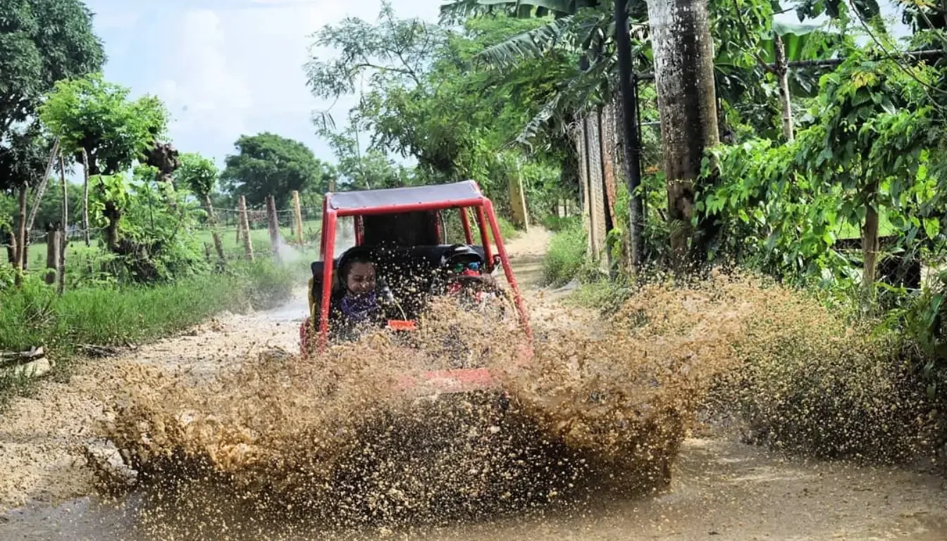 ATV & Buggies