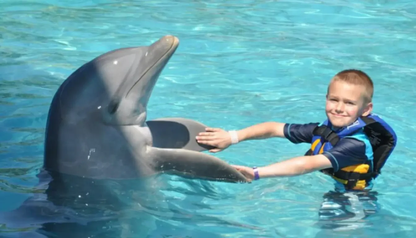 Animal Encounters