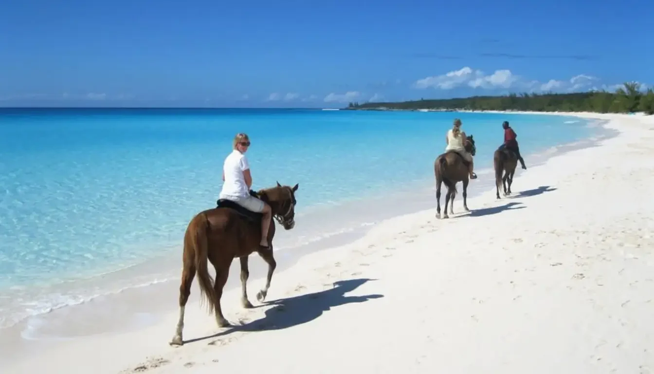 Horseback Riding