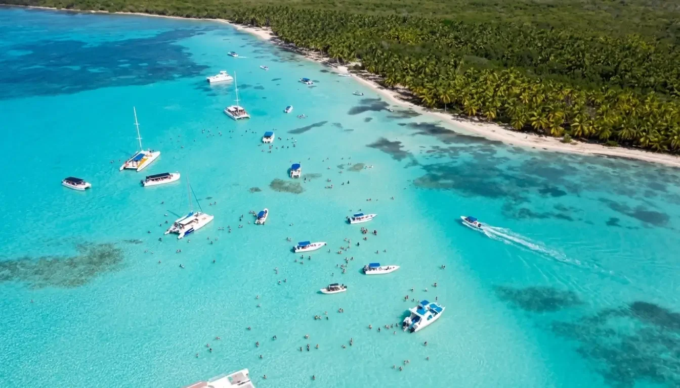 Island Tours