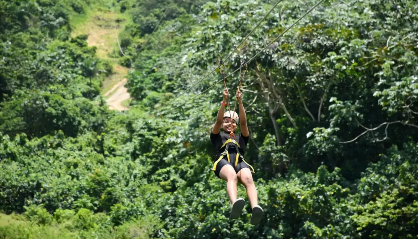 Zipline Tours